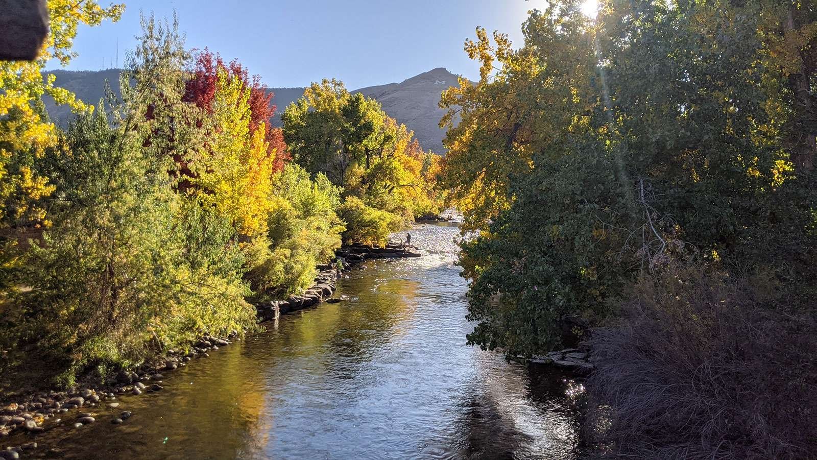 Fall foliage along a Colorado river, DENEX Fall THCA Sale