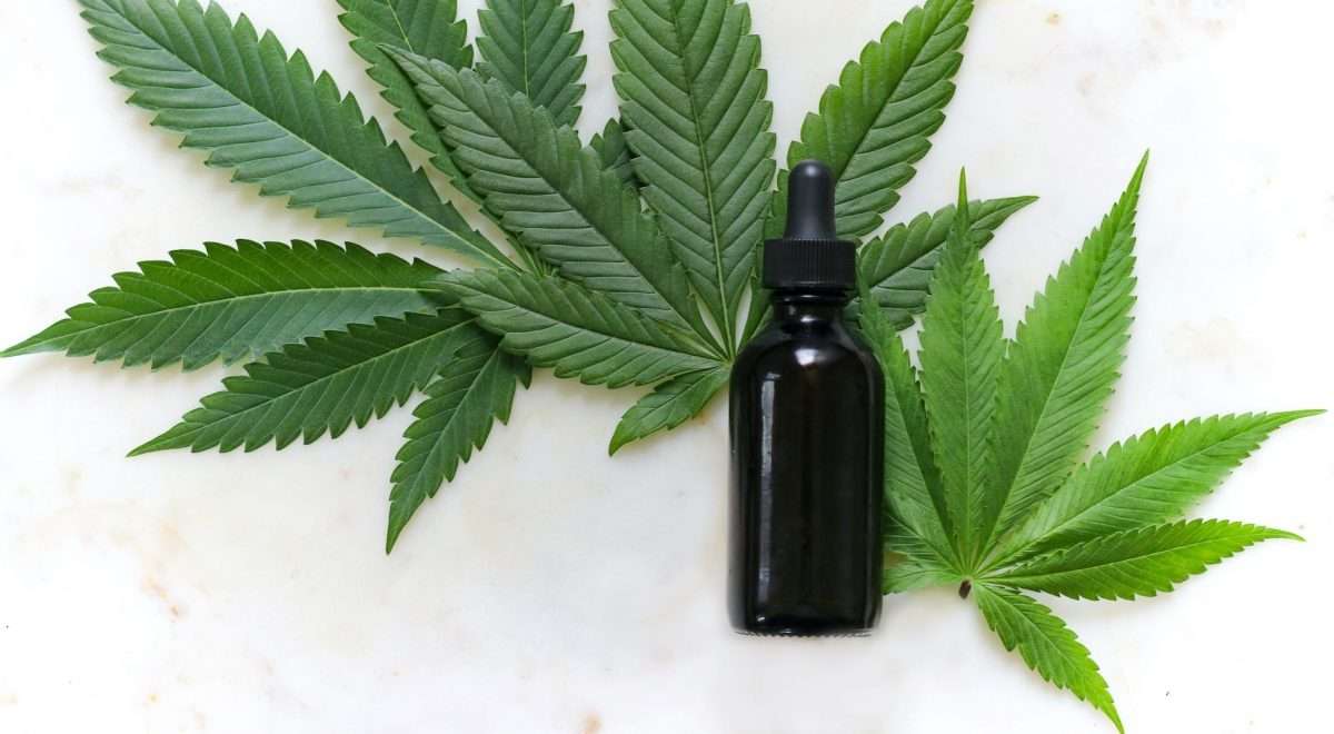 hemp leaves and unlabeled tincture bottle