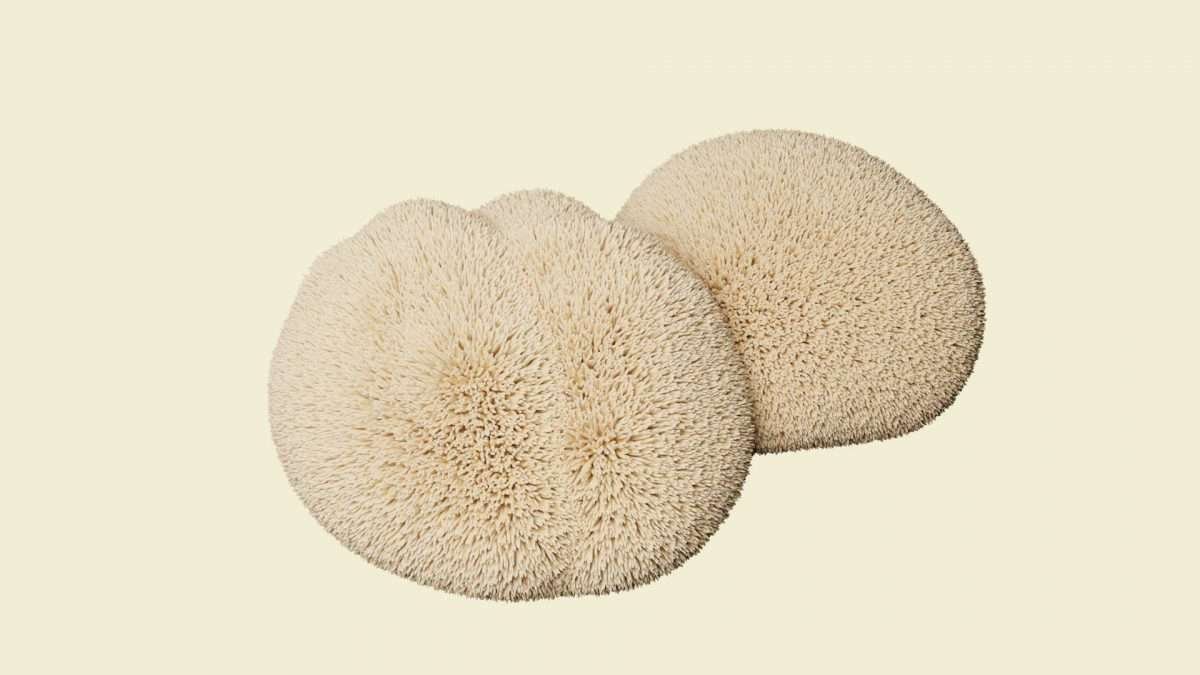 DENEX lion's mane mushroom