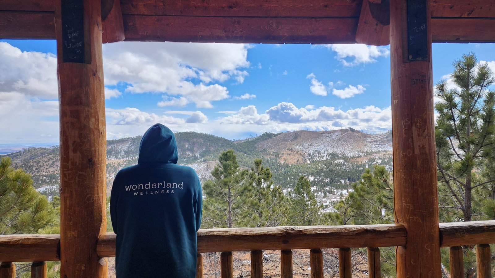 Wonderland Wellness hoodie in the mountain